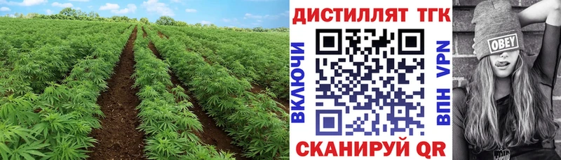 Дистиллят ТГК вейп  продажа наркотиков  Суоярви 